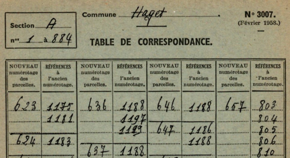 Les publications en ligne de l’été 